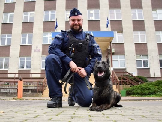 Nowy pies w elbląskiej policji. Będzie wykrywał materiały wybuchowe