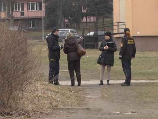 Numer na wagę życia. Za jego brak właściciel zapłaci grzywnę