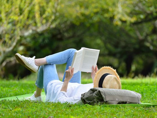 O czym jest saga Lipowo?