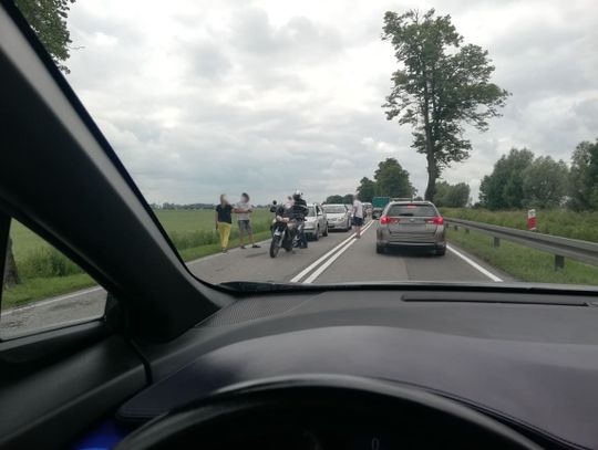 Obywatelskie zatrzymanie na trasie Elbląg - Malbork