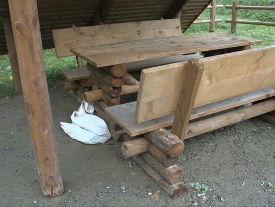 Oczyść głowę i zostaw śmieci w domu, czyli jak korzystać z lasów z rozsądkiem