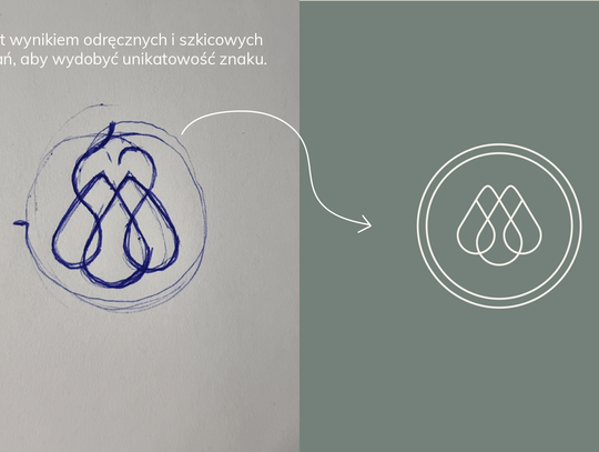 Od chaosu do spójności. Jak profesjonalny branding zmienia firmy