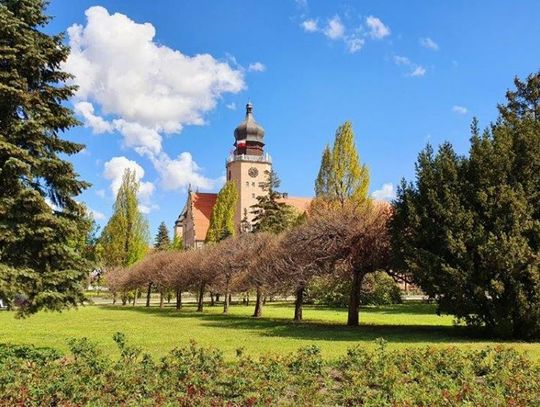 Od dziś zmiany w Urzędzie Miasta w Elblągu!