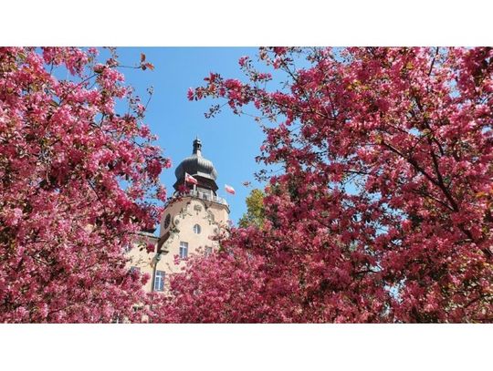 Od jutra zmiany w Urzędzie Miasta w Elblągu