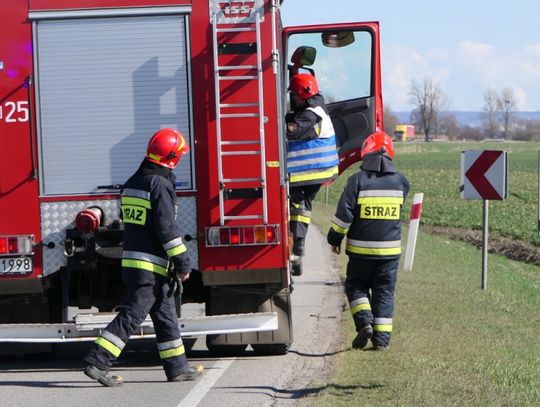 Od połowy marca do dziś było ich już niemal 60. Strażacy z Elbląga ostrzegają!