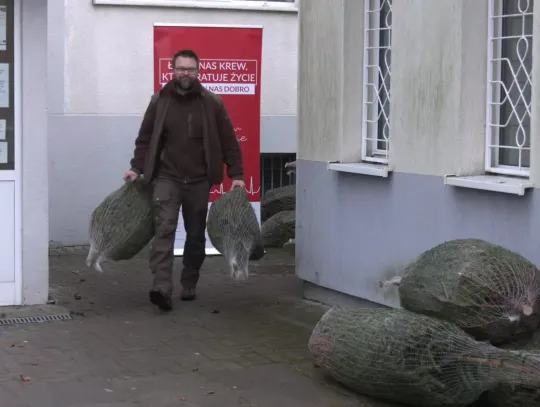 Oddajesz krew, dostajesz choinkę