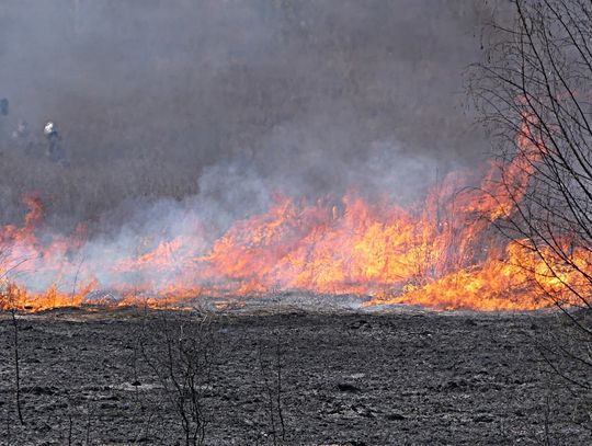 Ogromny pożar na Łęczyckiej przy cmentarzu [ZDJĘCIA]