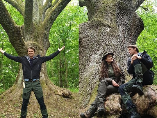 Okrasa łamie przepisy w lesie. Odcinek z Nadleśnictwa Elbląg już jutro