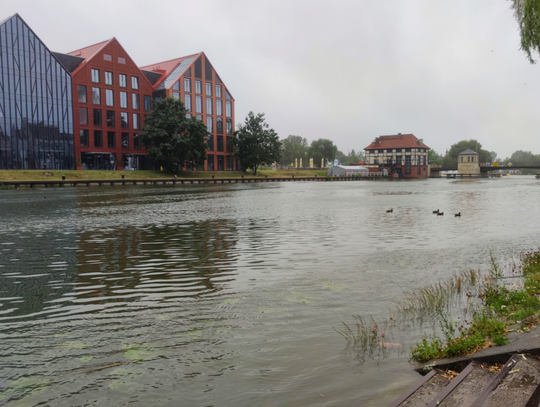 Ostrzegator. Zainstaluj bezpłatną aplikację