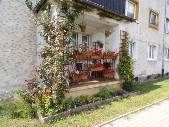 Oto najpiękniejsze balkony w Elblągu