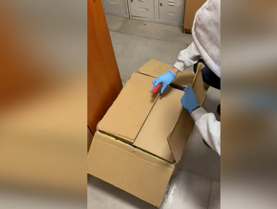 Paczka z Niemiec trafiła pod lupę celników