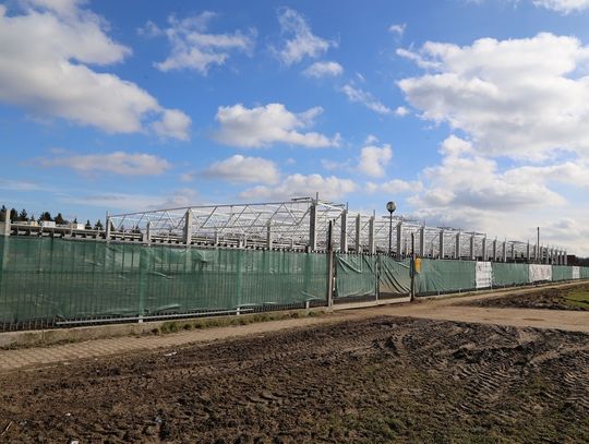 Park handlowy przy Fromborskiej. Powstaje szkielet obiektu