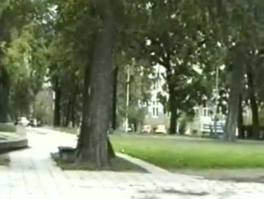 Park Planty w 1994 