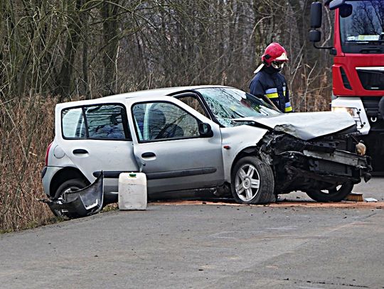 Pasłęk: Uderzył w drzewo