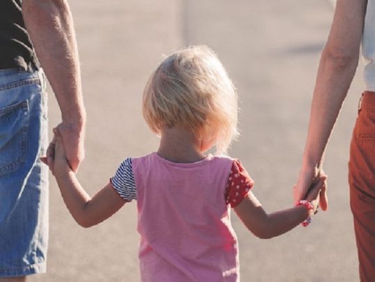 Pikieta Stop Pedofilii w sobotę w Elblągu