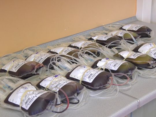 Pilnie potrzebna krew w Elblągu