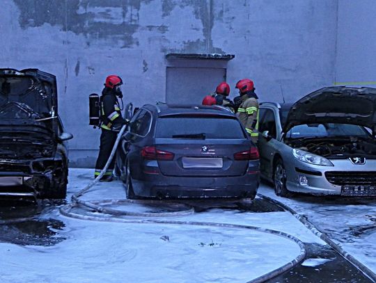 Podpalenie 3 samochodów w Elblągu. Właściciel warsztatu złapał sprawcę