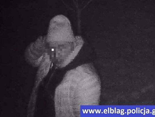 Policja ustaliła, kto ukradł gołębie na Skrzydlatej