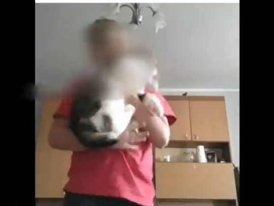 Policja zajmuje się sprawą ucznia jednej z elbląskich szkół podstawowych [WIDEO]