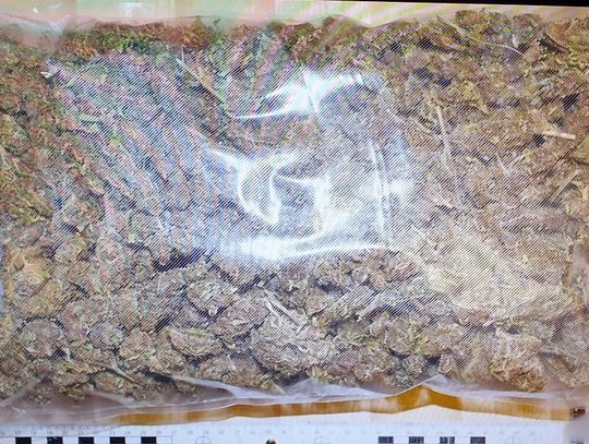 Policjanci z Elbląga zatrzymali 3 osoby i zabezpieczyli ponad 2 kilogramy narkotyków