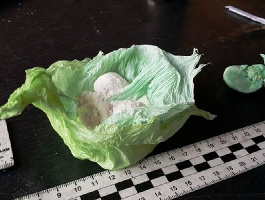 Policyjne przeszukanie mieszkania na Władysława IV Policyjne przeszukanie mieszkania na Władysława IV