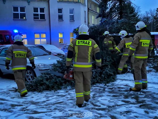 Ponad 50 zgłoszeń! Do Elbląga przyjechały jednostki z Nowakowa, Krzewska oraz Milejewa