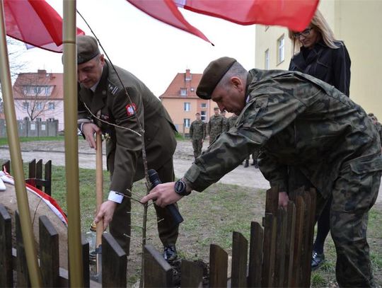 Posadzenie „Dębu Pamięci”