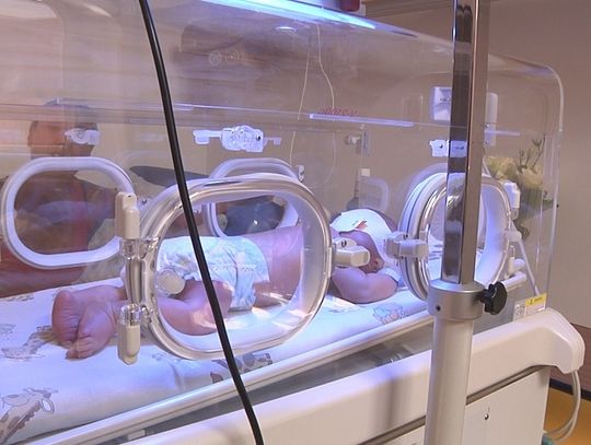 Poseł pyta o likwidację oddziału ginekologiczno-położniczego w Szpitalu Miejskim w Elblągu