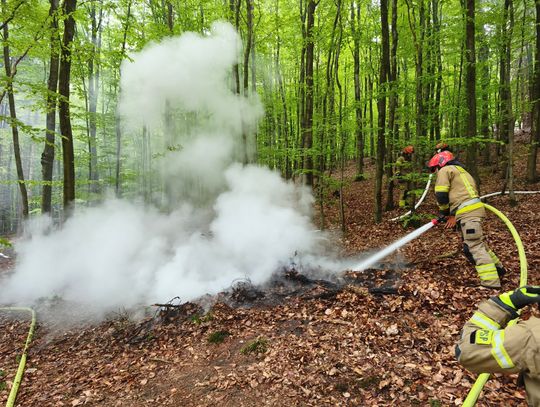 Pożar lasu, zaginieni i dron nad Dąbrową. Tak wyglądały ekstremalne ćwiczenia pod Elblągiem [FOTO]