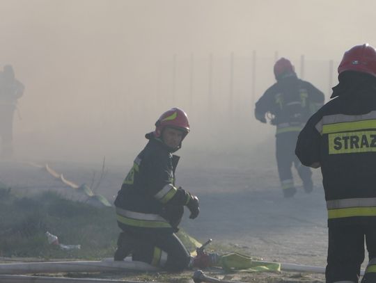 Pożar na Piaskowej. Strażacy uratowali garaże [ZDJĘCIA]