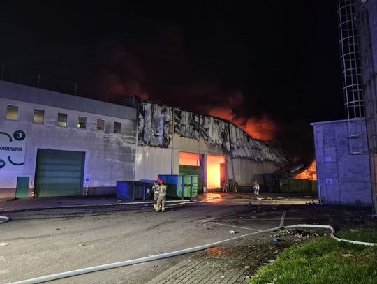 Pożar sortowni śmieci w Elblągu. Służby w akcji [WIDEO, GALERIA ZDJĘĆ]