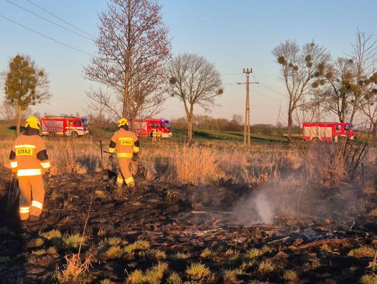 Pożary traw. Strażacy apelują