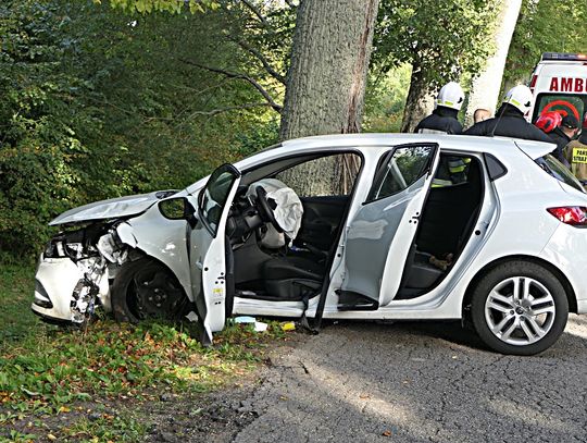 Próbował zapalić papierosa i uderzył w drzewo Próbował zapalić papierosa i uderzył w drzewo