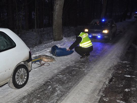 Prokuratura bada sprawę kuligu pod Elblągiem