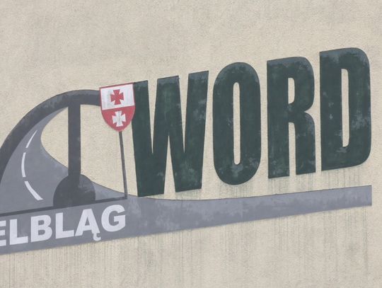 Protest w elbląskim WORD