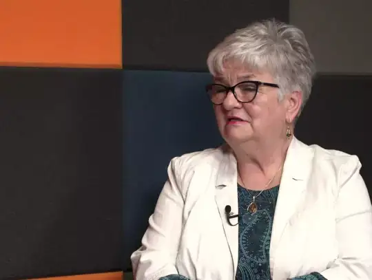 Protestują przeciwko wycince drzew pod farmę fotowoltaiczną [video]