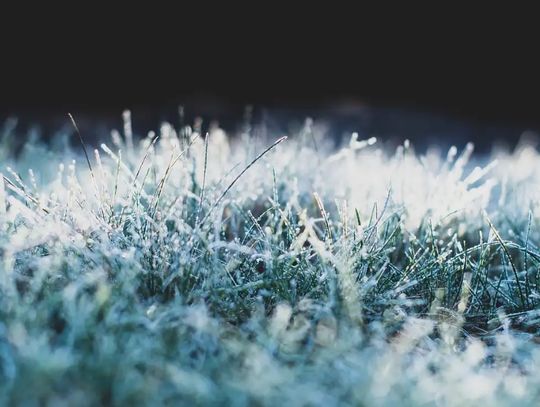 Przymrozki? IMGW ostrzega