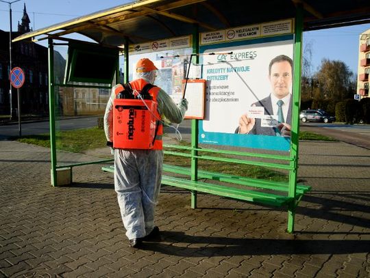 Przystanki w czasie epidemii. Dziś odbyła się dezynfekcja [ZDJĘCIA]