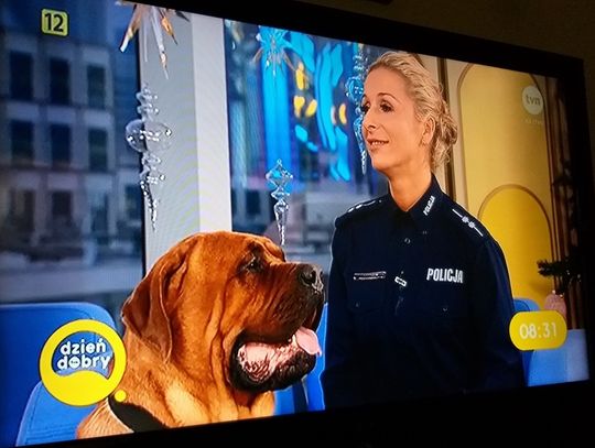 Psi Detektyw z Elbląga w Dzień Dobry TVN [WIDEO]
