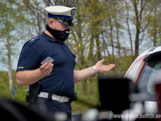 Rekordzista z Elbląga został zatrzymany na Modrzewinie