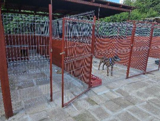 Remont trwa, ale wciąż brakuje pieniędzy.