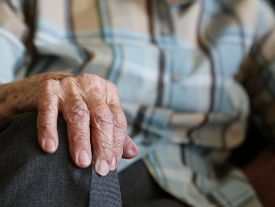 Renta wdowia. Od kiedy wnioski?