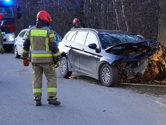 Rozbił się na drzewie