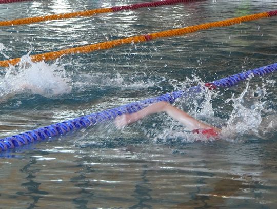 Rozpoczęła się XIII Elbląska Wiosna Pływacka