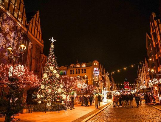 Rozświetlenie choinki w Elblągu już za tydzień [PROGRAM]