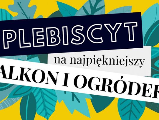 Rusza głosowanie na najpiękniejszy balkon i ogródek na terenie gminy Elbląg!