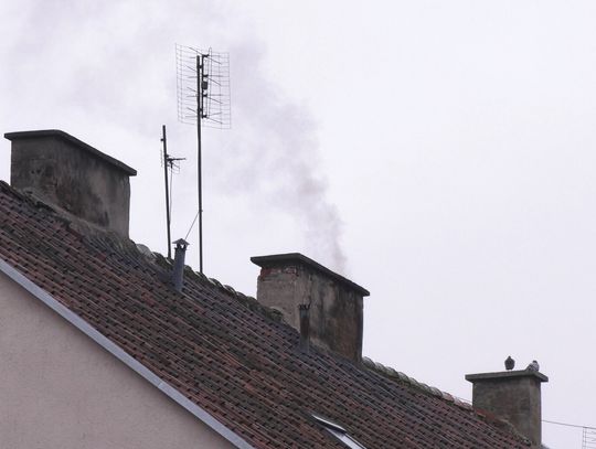 Ruszyły kontrole. Kara to nawet 5 tysięcy złotych. Co sprawdza Straż Miejska?