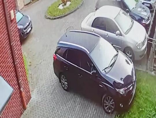 Rzucił kamieniem w samochód. Rozpoznajesz go? [FILM]