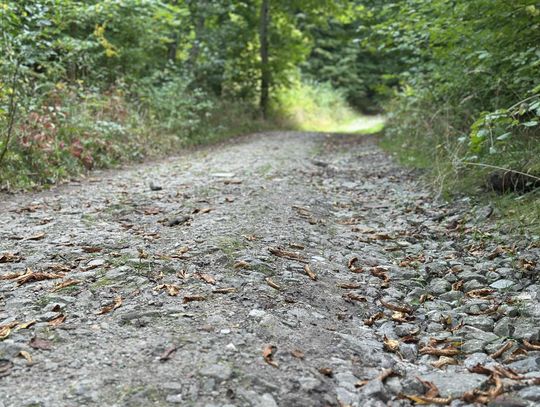Ścieżka pieszo-rowerowa na zboczu Góry Chrobrego