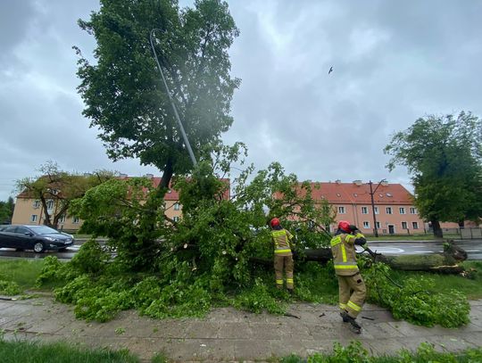 Silny wiatr w Elblągu i powiecie. Ponad 20 interwencji strażaków